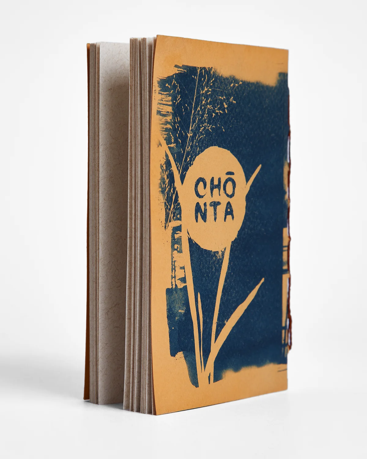 Libreta cianotipia serie Teteras interior 3